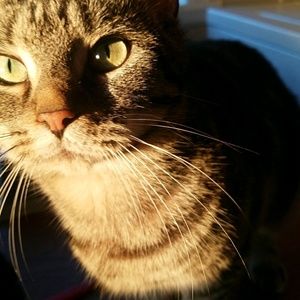 Meet your Posher, Samantha